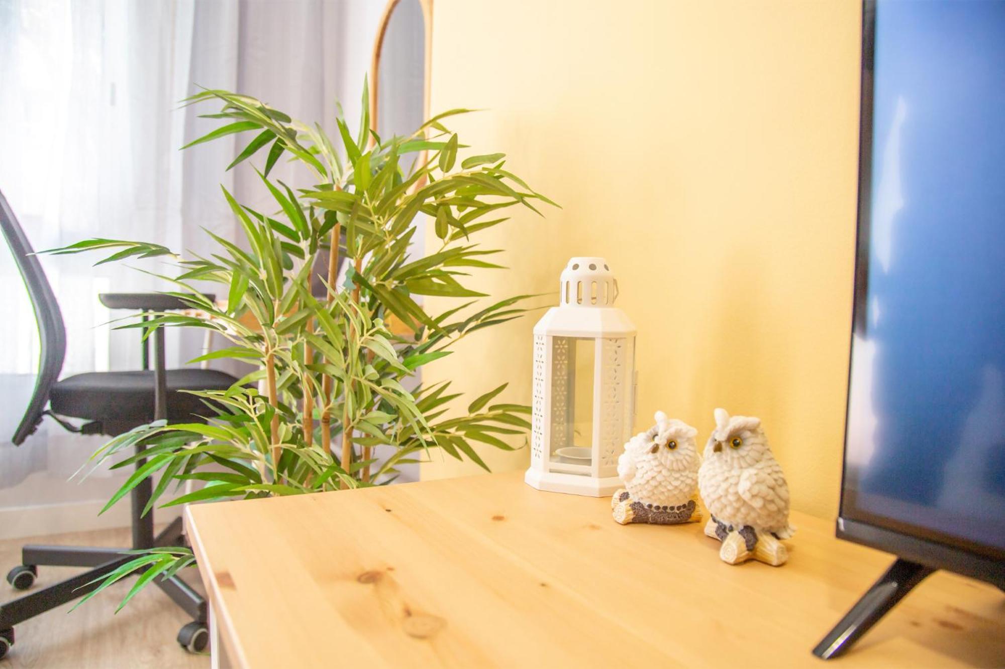 Sunflower Apartment Centrico 塔拉戈纳 外观 照片